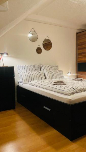 No3 TOP Apartment4You 3Zimmer 1-8Pers. Saarbrücken Jägersfreude Saarbruecken